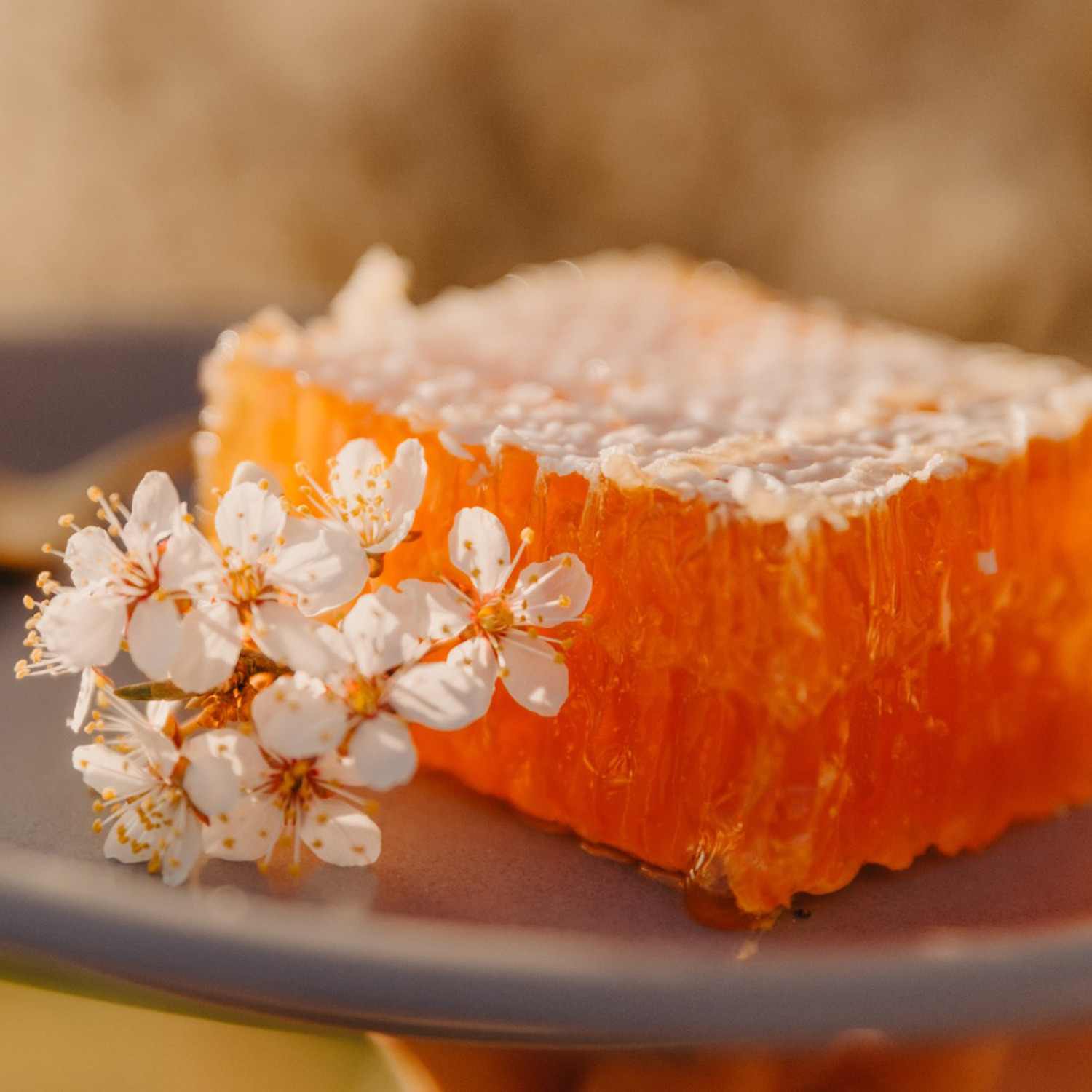 Honey Comb by Imzak Organics